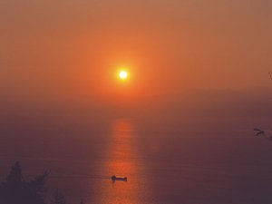 大三島の亀老山からの初日の出