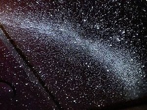 �y�T�[�r�X�z�������Ńv���l�^���E����@1������2���l�����݂��o����