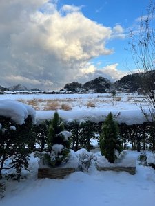 12月後半からの雪景色