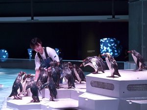 【AOAO SAPPORO】チケット付プラン販売中!