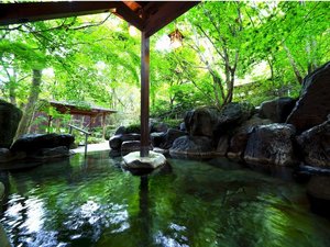 ＜大自然・生ビール１杯付＞３／２８〜４／２３鯉のぼり祭り応援プラン♪吉祥の湯入浴券付