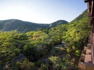 �y�{�݁z�O�ρi�����j