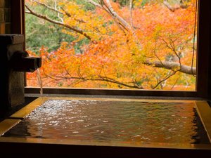 <西館>温泉半露天付 和洋室A 【ツインベッド】(川沿い) ※紅葉(11月下旬〜12月上旬)