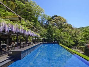 「Bakery & Table 東府や 足湯カフェ」 4月中旬〜5月上旬に咲く大正時代から伝わる藤棚