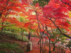 ���󎛌���