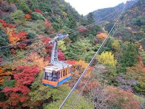 �L�n���[�v�E�F�C