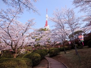 【当館から車で10分】展望台や大きな観覧車があり、市街地を一望できる「八幡山公園」