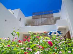 �Z�u���J���[�Y�Ί_����7�F�̉ԁX