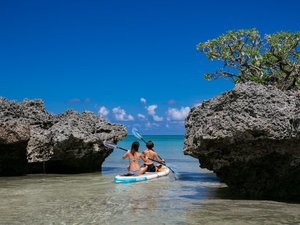 ���q���������ŁA�`�����͂��܂�C��