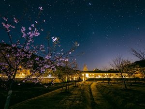 下田セントラルホテル