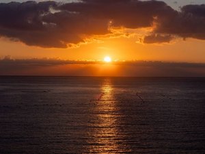 【景色】お部屋、露天風呂、レストランからは絶景のオーシャンビューをご覧いただけます。