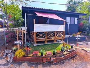 �r�`�x�`�l�`�@�a�`�r�d�̎ʐ^