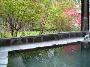 温泉ペンション 1ねん1くみ 栃木県那須温泉 口コミ 予約