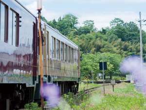 �y�S���z���s�O��S���A�S���̗����I�X�X���[�����Y�ؒÉ���w���Ŋ��w