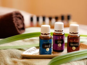 �y�G�X�e���[���z���I���ꂽ�A���}�I�C�����g�p���A�����b�N�X�Ɣ������������o���ґ�Ȏ���