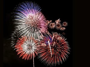 �y�[�����Y�z�W���ɂ͖��N�u�[�����Y�[���ԉΑ��v�J�ÁI