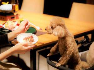 【わんちゃんとお食事】お食事のときは無料の貸し出しカートで