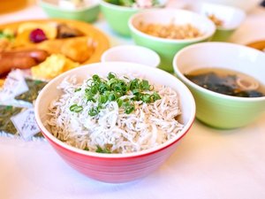 湘南名物「しらす」が食べ放題!