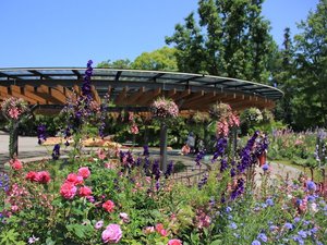 「福岡市動植物園」はホテルすぐそば