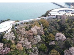 上空からみた春のホテル