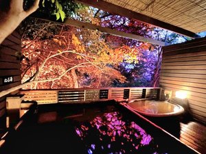 月の山源泉エリア 猫の恋