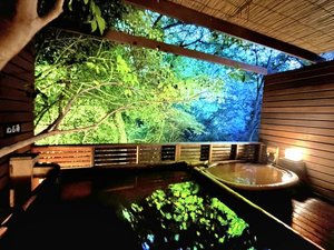 月の山源泉エリア 猫の恋