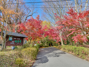 紅葉の頃 館内入口