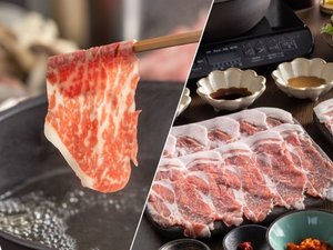 �y2026�N5���`�z�X�^���_�[�h�v�������V���a���u�����̕P���v�ƍȗL�|�[�N�H�ה�ׂ���Ԃ����