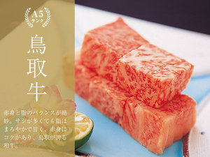 ☆五つ星☆鳥取和牛最上級A5ランクのお肉
