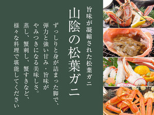 山陰の冬の味覚「松葉ガニ」