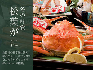 冬の味覚「松葉がに」