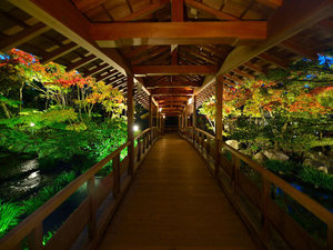 姫路城西御屋敷跡庭園 好古園