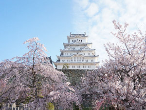 世界文化遺産・国宝 姫路城