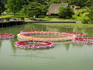 【当館から車で13分】広大な敷地にプールや展望塔があり、家族で楽しめる「県民公園太閤山ランド」