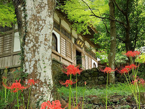 大洞院