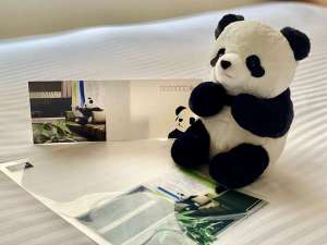 【東京都内のビジネスホテル予約】三井ガーデンホテル上野