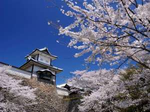 春の金沢城公園(当館から徒歩約20分)