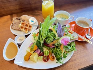 15種の野菜プレート