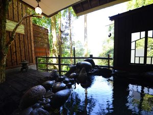 ���ʎ��w������x�I�V���C�@�Ί݂ɍ����]��