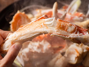 パインテラス北海道フェア 期間:10月1日(木)〜11月30日(月)