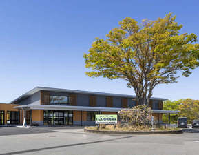 �����������̑��Ȃ݂��̎ʐ^