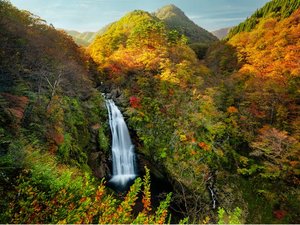 【秋保大滝】初夏の新緑や、紅葉の時期は格別の眺めです。