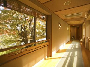 当館は全階畳敷き。冬はあたたかく夏はべたつかない『日本の機能美』に触れてください
