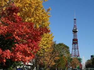 Urplais ホテル 旅館 宿泊施設の検索 自然あふれる札幌中心部 大通公園 当ホテルすぐ裏手 徒歩2分 昼 ホテルwbf札幌大通 旧 ラッソライフステージホテル