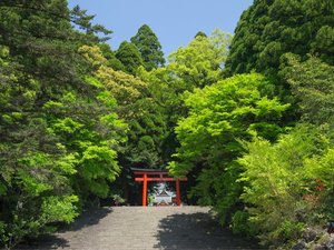 南九州最大の神宮、霧島神宮へは車で6分の距離です※画像はイメージです。