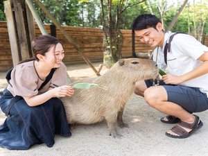 那須どうぶつ王国