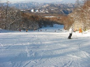 エーデルワイススキーリゾート ゲレンデ
