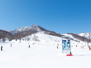 会津高原だいくらスキー場 中央ゲレンデ