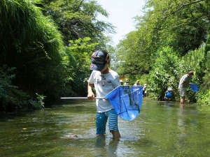 【川遊び】暑くなったら水遊び!みなかみにはお子様が川遊びを楽しめる公園もたくさん。