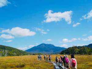 【ハイキング(尾瀬)】たくさんの高山植物を愛でながら…ゆっくりとみんなでハイキング!